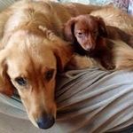 Bryan Settle - @bryan.settle1 - Instagram