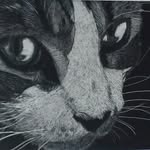 Bryan Shaffer - @tech_bro - Instagram