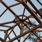 Brian Shanahan - @shanahan.timber - Instagram