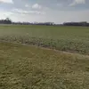 Brian Shaver319 - @brianshaver319 - TikTok