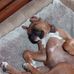 Bryan Shaver - Facebook