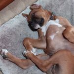 Bryan Shaver - @bshaver74 - Instagram