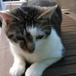 Brian Sherlock - @briandsherlock - Instagram