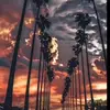 Bryan Singh - @bryansingh75 - TikTok