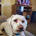 Brian Slick - Facebook