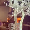 Bryan Soto - @bryansoto299 - TikTok