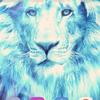 user5801635806488 - @bryanespain - TikTok