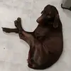 Bryant Steele - @bryant.steele0 - TikTok