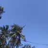 Bry@n - @bryanstep007 - TikTok