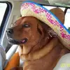 Brian Stier - @brian.stier2 - TikTok