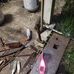 Bryan Stokes - Facebook