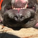 Bryan Gage Strickland - @bryanstrickland0427 - Instagram