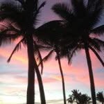 Bryan Sutter - @brysut2014 - Instagram