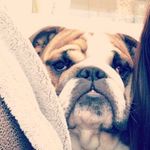 Bryan Sweeney - @bryan_sweeney0209 - Instagram