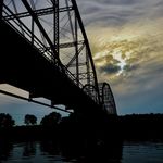 Bryan Sweeney - @sweeneydogphotography - Instagram