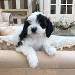 Bryan Swift - @bryan.swift1 - Instagram