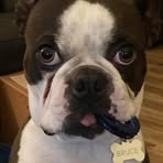 Bryan Talbott - Facebook