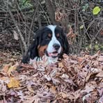 Bryan Thibodeau - Facebook