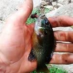 Bryan Thornton - @bryan.thornton.9421 - Instagram