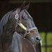 Bryan Timoko - Facebook