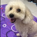 Bryan Ting - @bryanting90 - Instagram