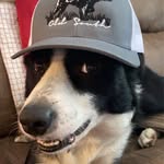Bryan Toney - @toneybryan - Instagram