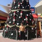 Bryan Toshiro Guerra Escudero - @bryantoshiro - Instagram