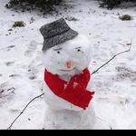 Bryan Townsend - @bryan.townsend.rh - Instagram