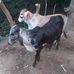 Bryan Trejos - Facebook