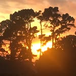 Brian Trigg - @triggup - Instagram