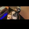 Brian Tupper - @brahnntupster - TikTok