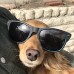 Bryan - @bryantupper - Instagram