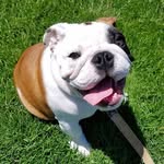 BryantU Tupper II - @bryantutupper - Instagram