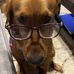 Brian Waldron - Facebook