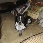 Bryan Waldron - @bryanair72 - Instagram