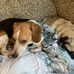 Bryan Waldron - Facebook