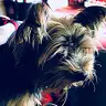 Bryan Walker - @bryanwalker0 - TikTok