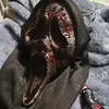 Bryan Walls - @bryan.walls1 - TikTok