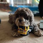 Brian Wampler - @judgewamp - Instagram