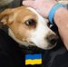 Bryan Wampler - Facebook