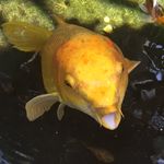 Bryan Ware - @bdubbskizzle - Instagram