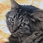 Bryan Waterman - @bryan_e_waterman - Instagram