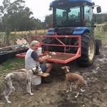 Bryan Waterman - @bryan.waterman - Instagram