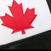 Bryan Weis - @bryan.weis - TikTok