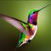 Bryan Wheatley - Facebook