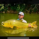Bryan Wise - @bryan.wise1 - Instagram