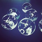 Bryant bell - @bryantbell12832 - Instagram