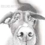 Bryant Collins - @collins_artistry - Instagram