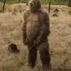 bryantgilbert361 - @bryantgilbert361 - TikTok