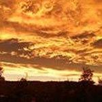 Bryant Hall - @bryanthall2963 - Instagram